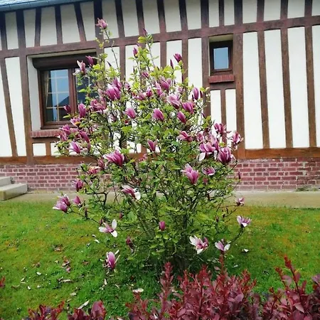 Holiday home Wijitta